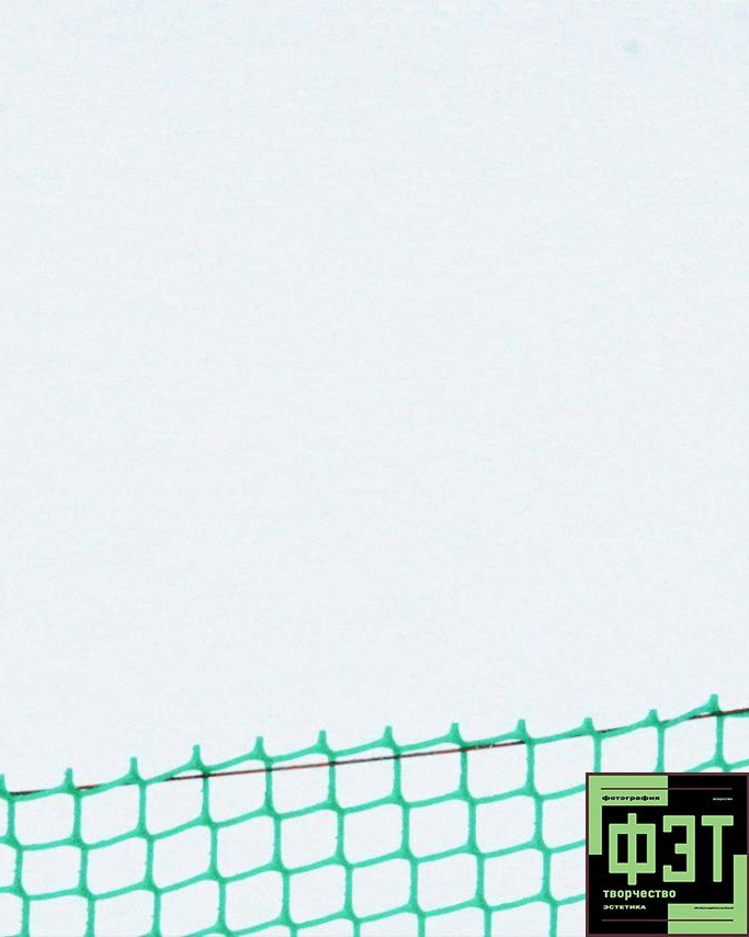 Наталья Переверзева