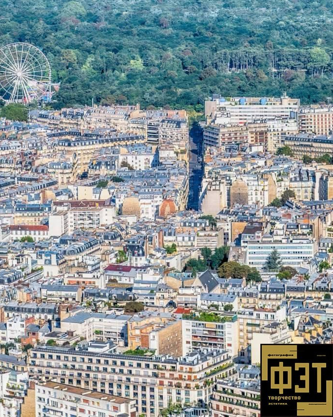 Выбор зрителей 14.12.25