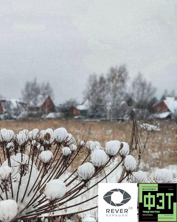 Альбом 07.12.25 проект ФЭТ