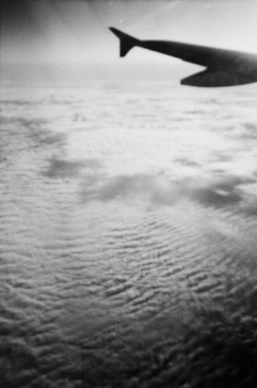 Visual diary (Pandemic). Фотограф Ника Оксенчук