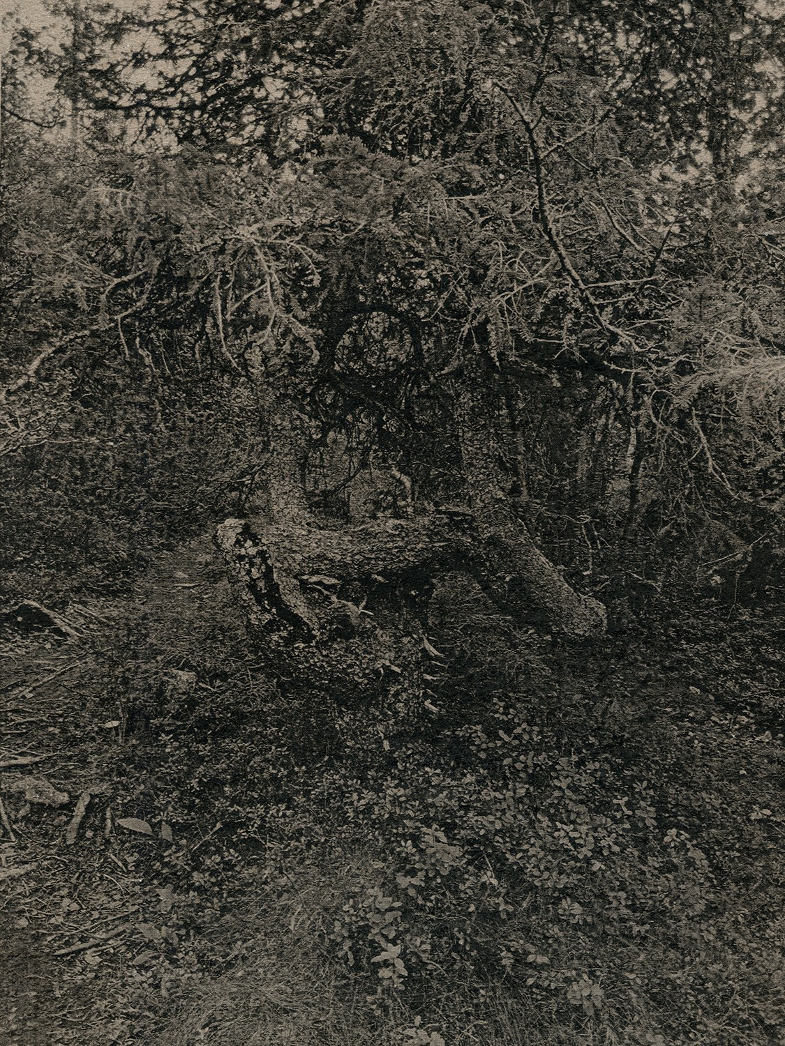 Arrive without leaving. Vika Bykovskaya photography