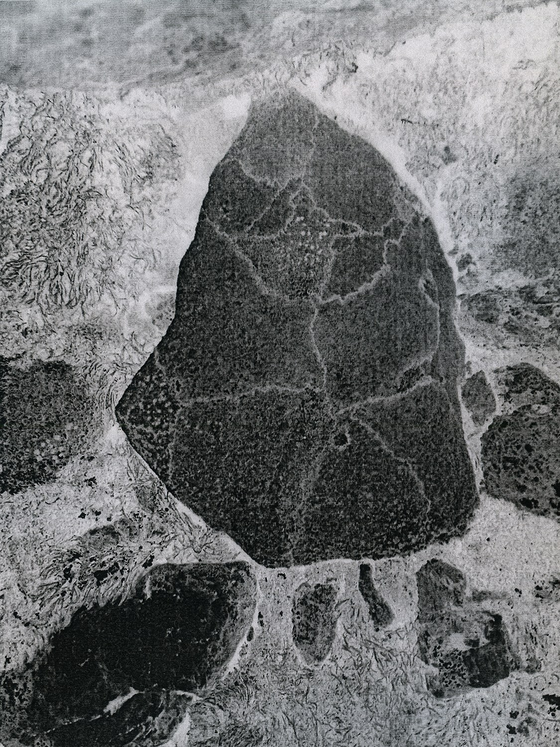 Arrive without leaving. Vika Bykovskaya photography