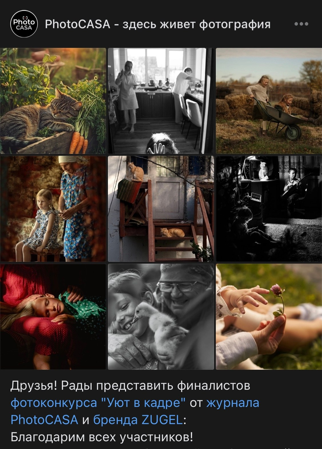 Конкурсы. Арт-ню фотограф, Фотохудожник в Москве Анна Форс