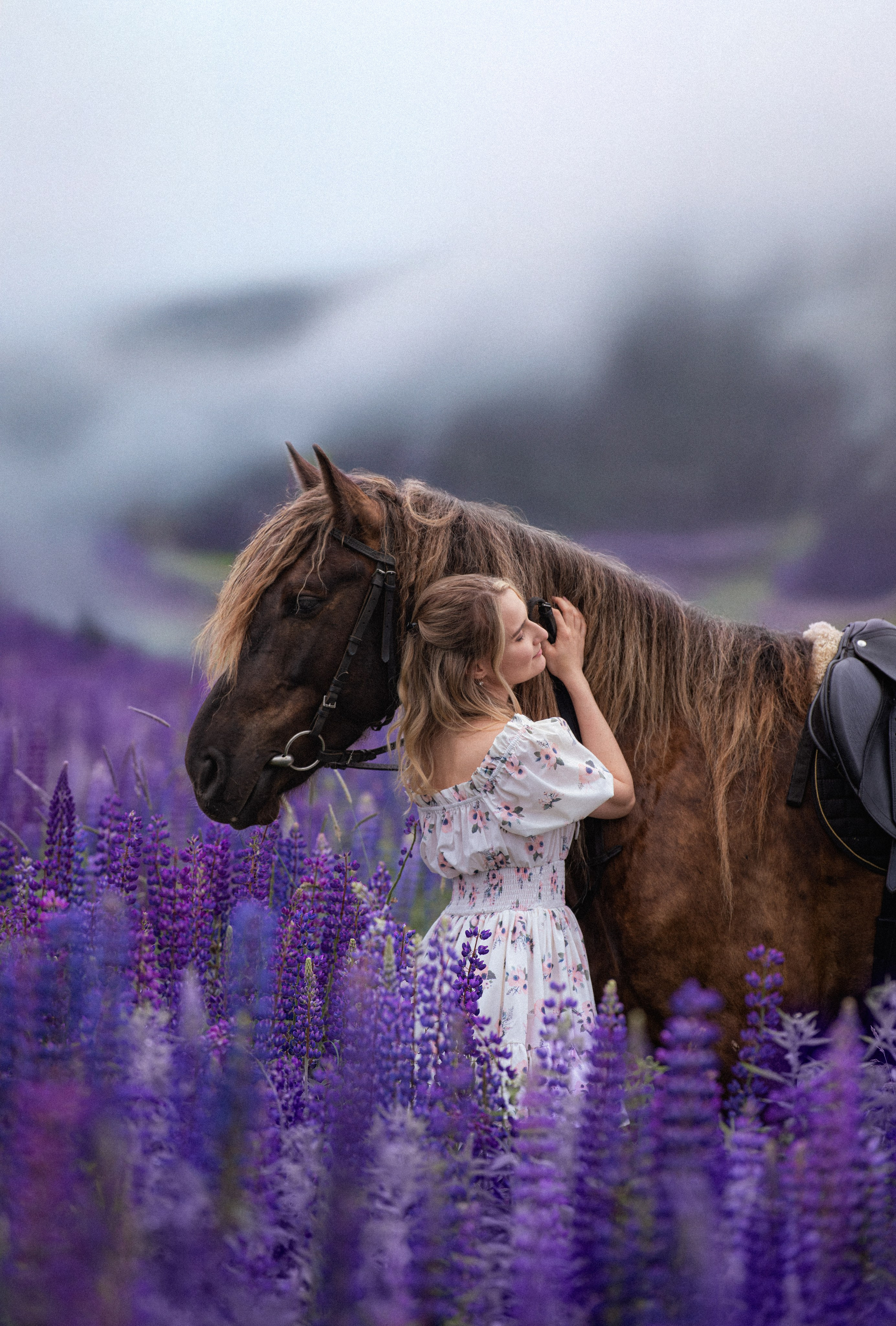 Каталог лошадей. Конный фотограф в Москве — Дарья Алексеева | Премиальные фотосессии с лошадьми