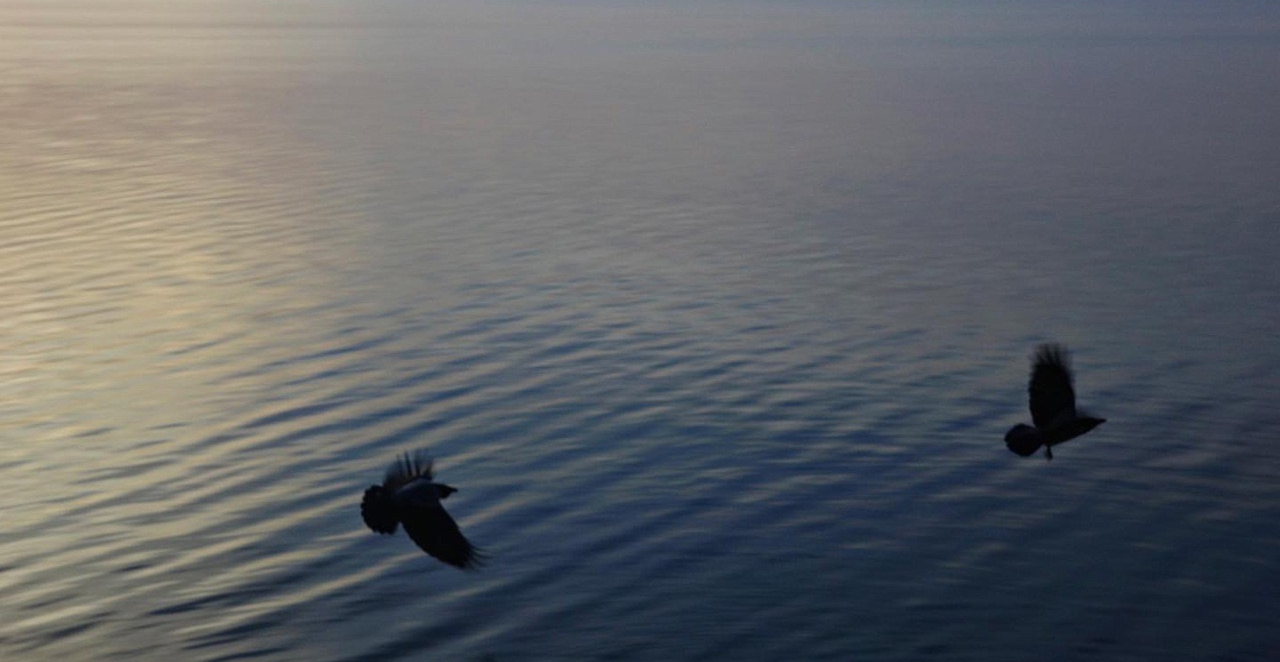 Море внутри. Пылина Ирина — современная фотография