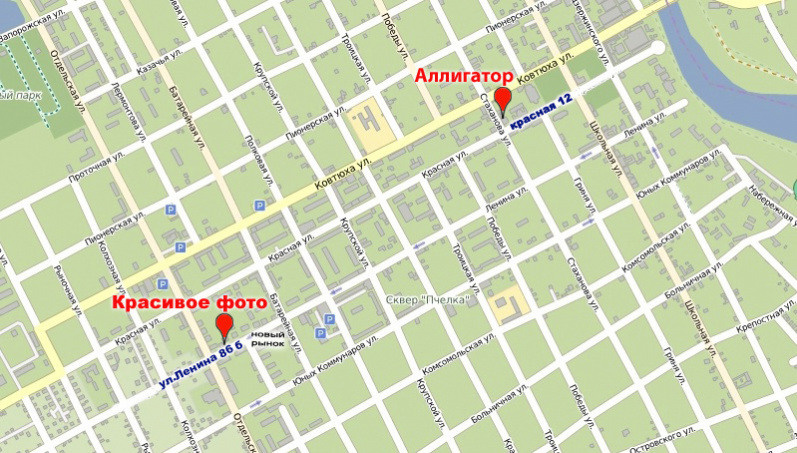 Контакты студия Аллигатор Краснодар