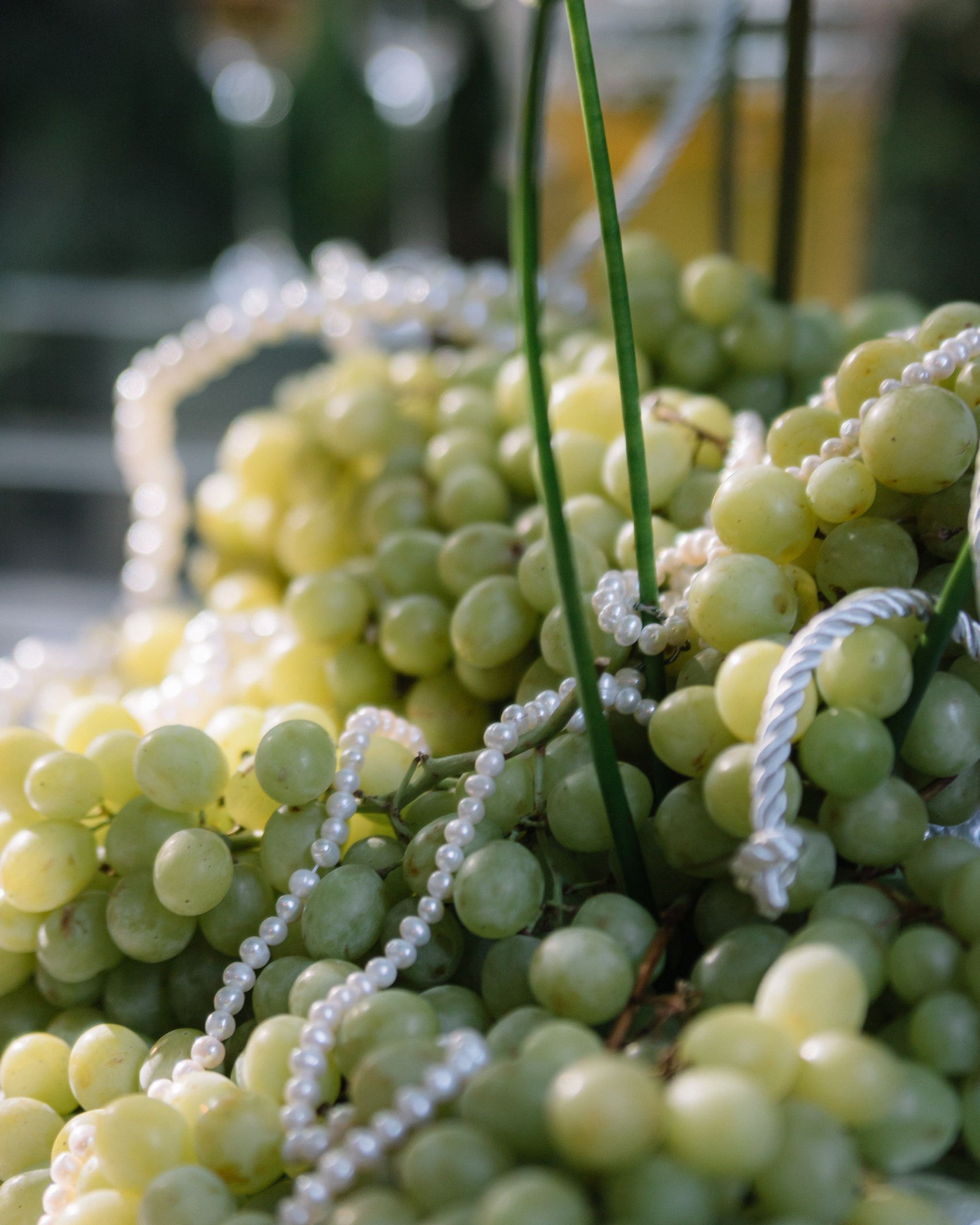 Контакты. Vmeste.Klassno