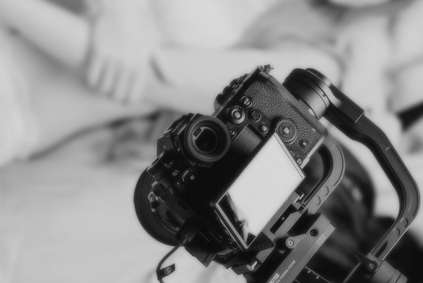 Стоимость и виды фотосъемки. ByGreenOrg и красивые фотографии