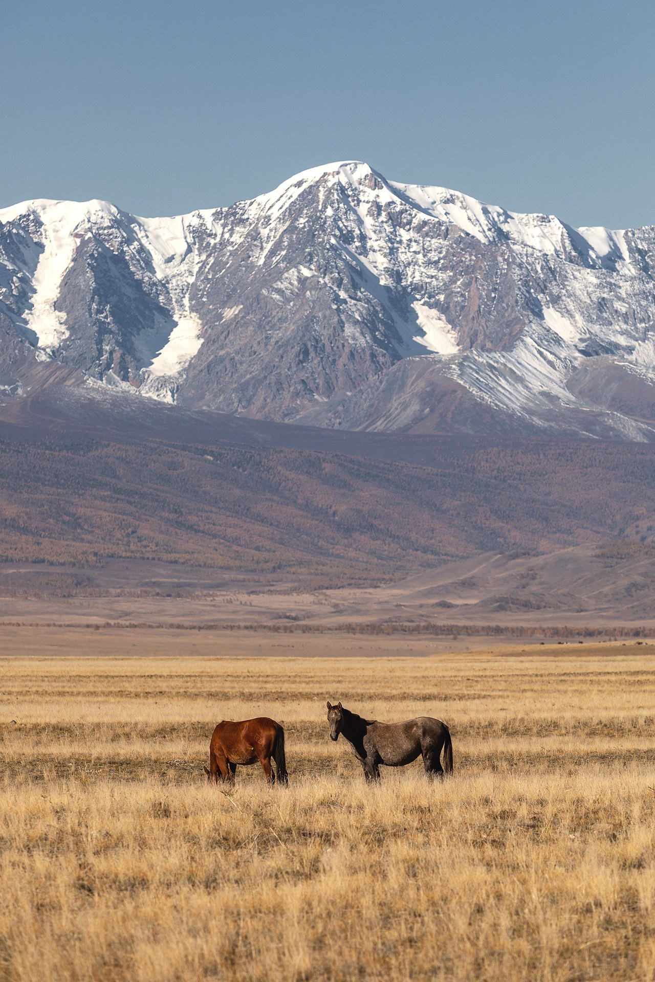 Осенний Алтай 2026 | Фотограф Дмитрий Купрацевич. Дмитрий Купрацевич профессиональный пейзажный и travel-фотограф