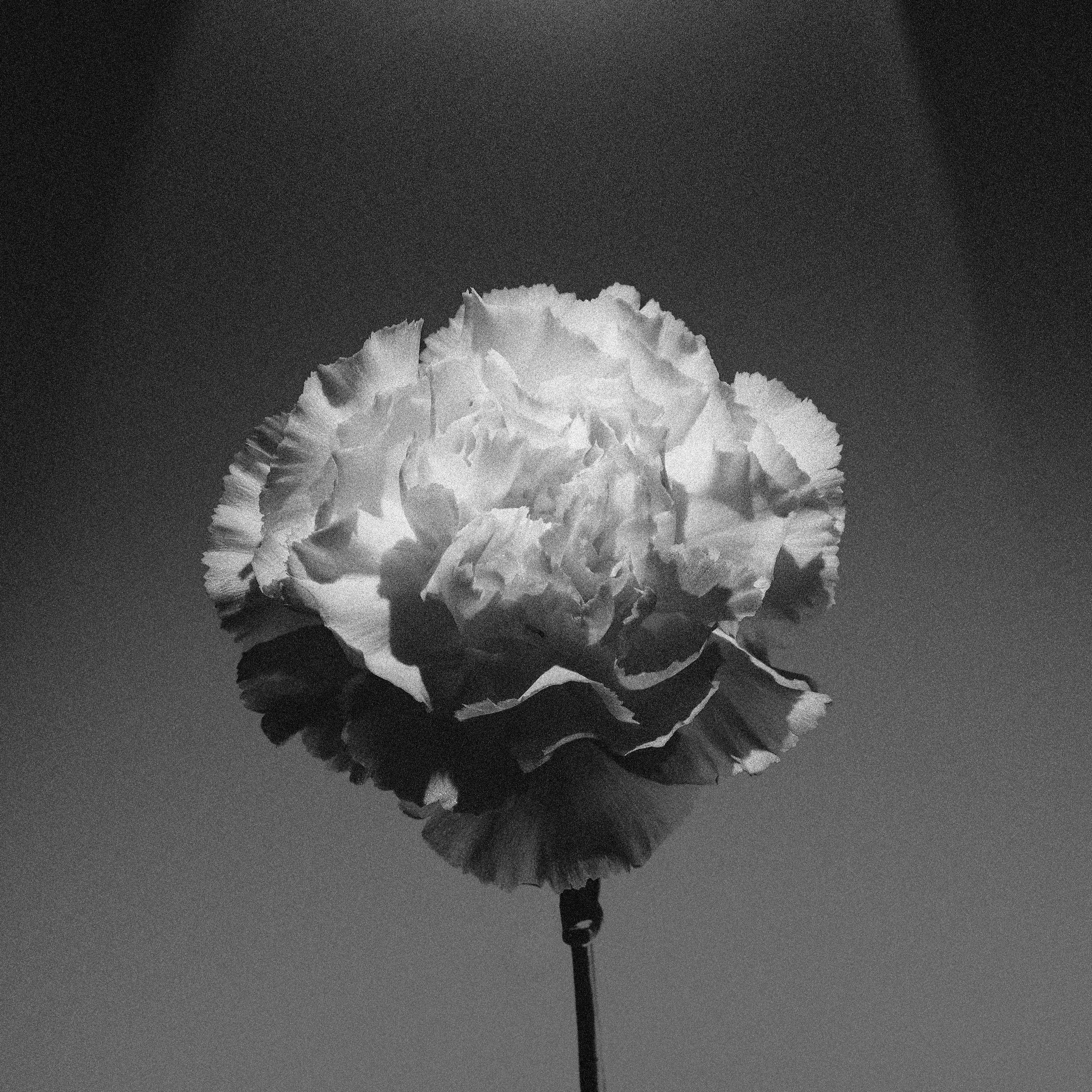 Мария Шум | Фотограф Москва