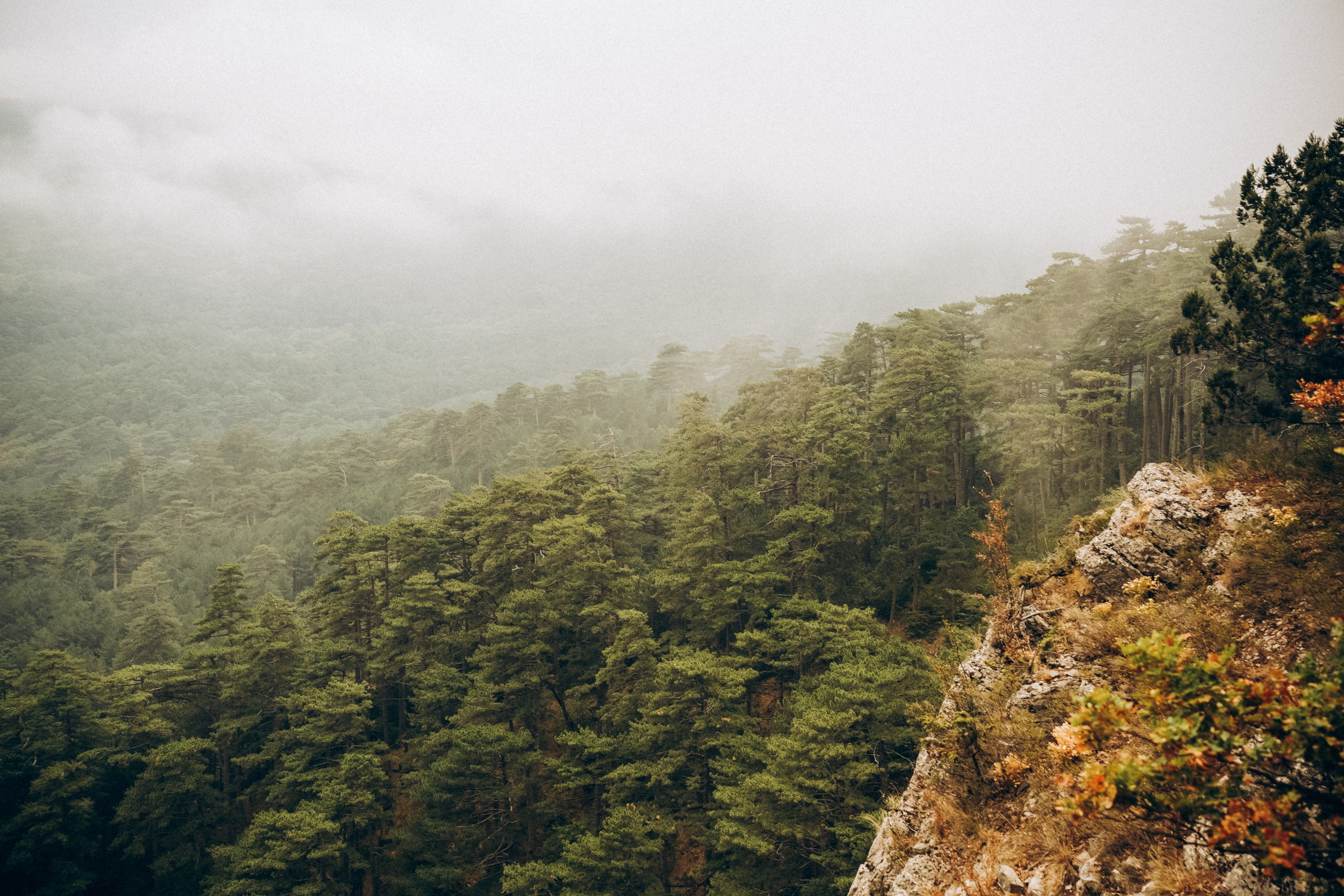 Боткинская тропа. Фотограф из Москвы — DASHA NOVA | Авторская фотография в разных жанрах