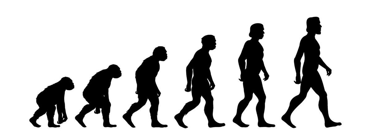 Evolution. MentalChaos