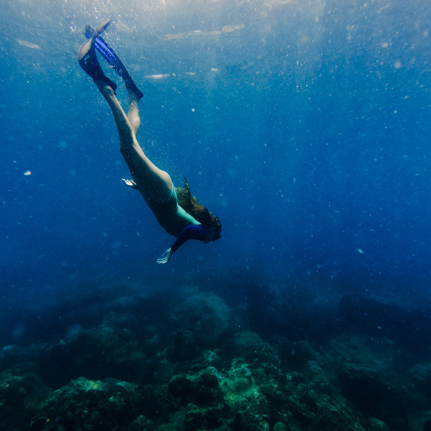 Для тех кто не боится сделать первый шаг. Дайвинг во Вьетнаме