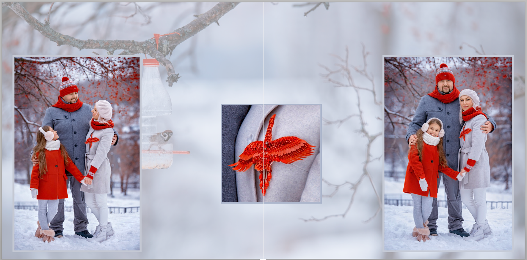 книга в подарок