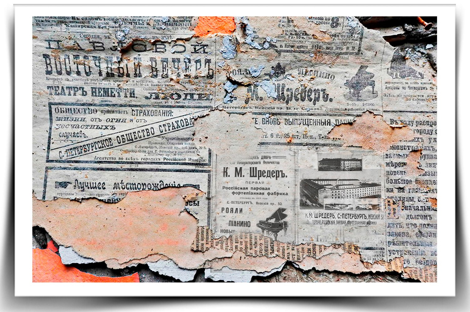 Проектная деятельность Фонда. Дом Шрёдера