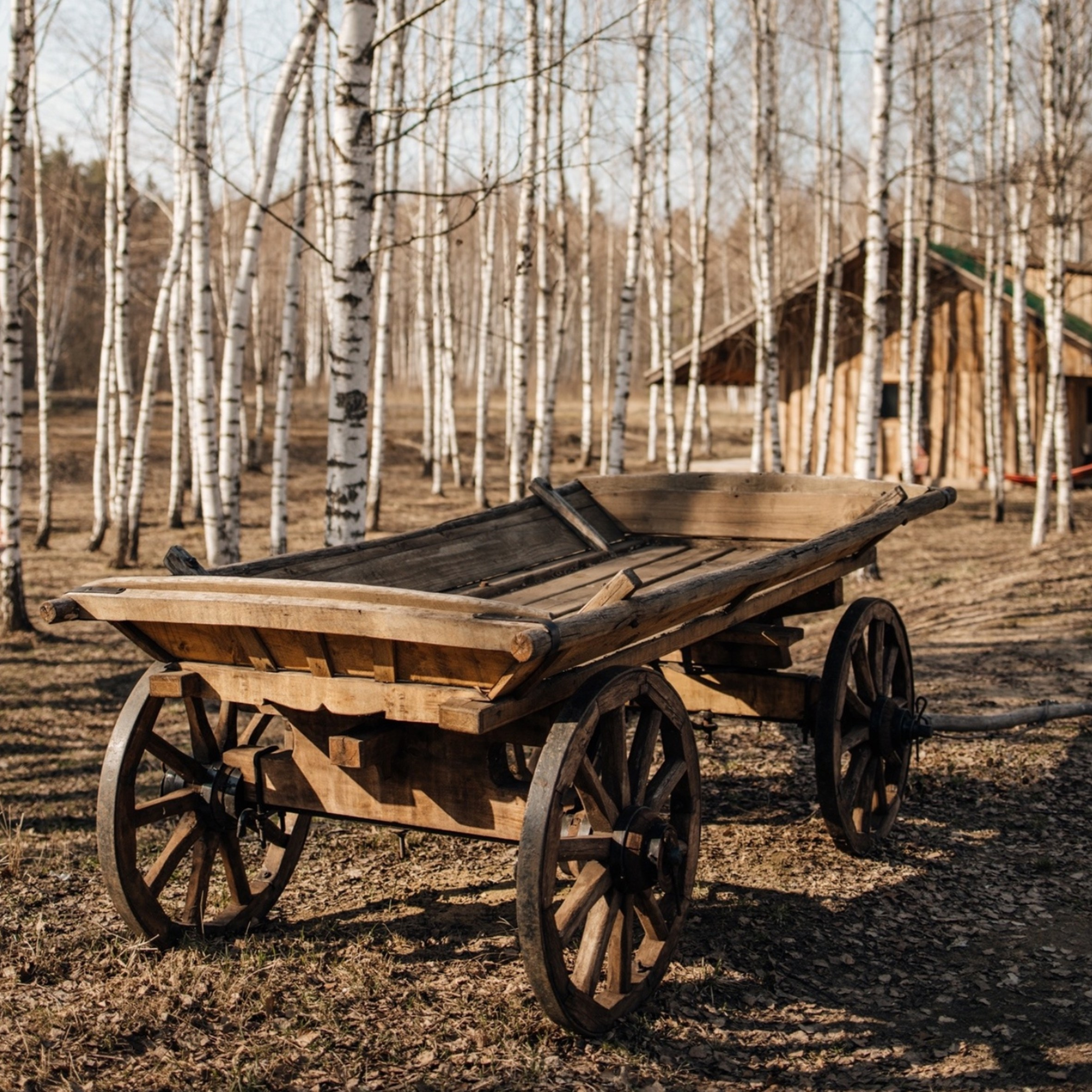 Фотостудии Москвы. Фотограф Анастасия Малютина
