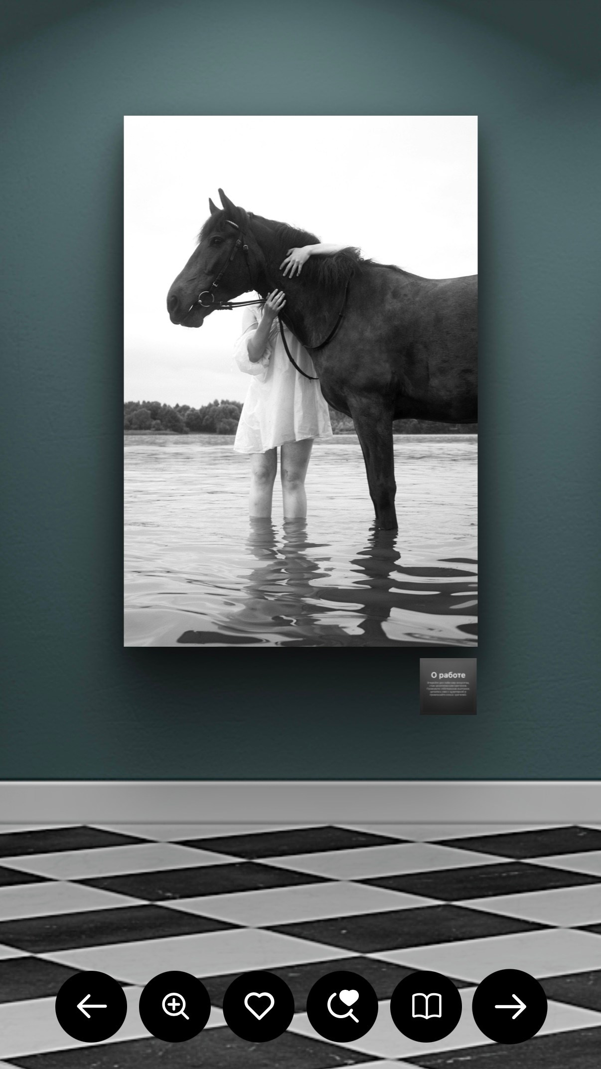 Конкурсы. Арт-ню фотограф, Фотохудожник в Москве Анна Форс