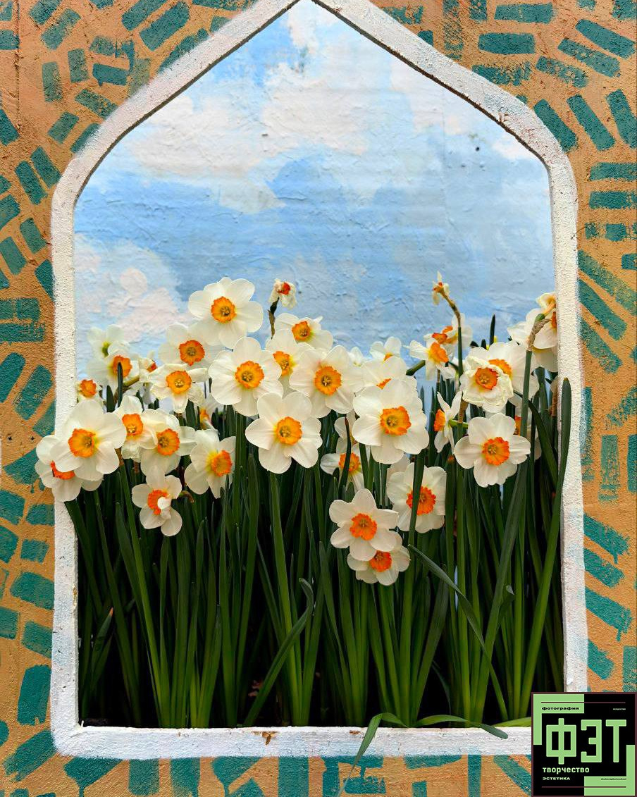 Альбом 08.03.26 в рамках ФЭТ