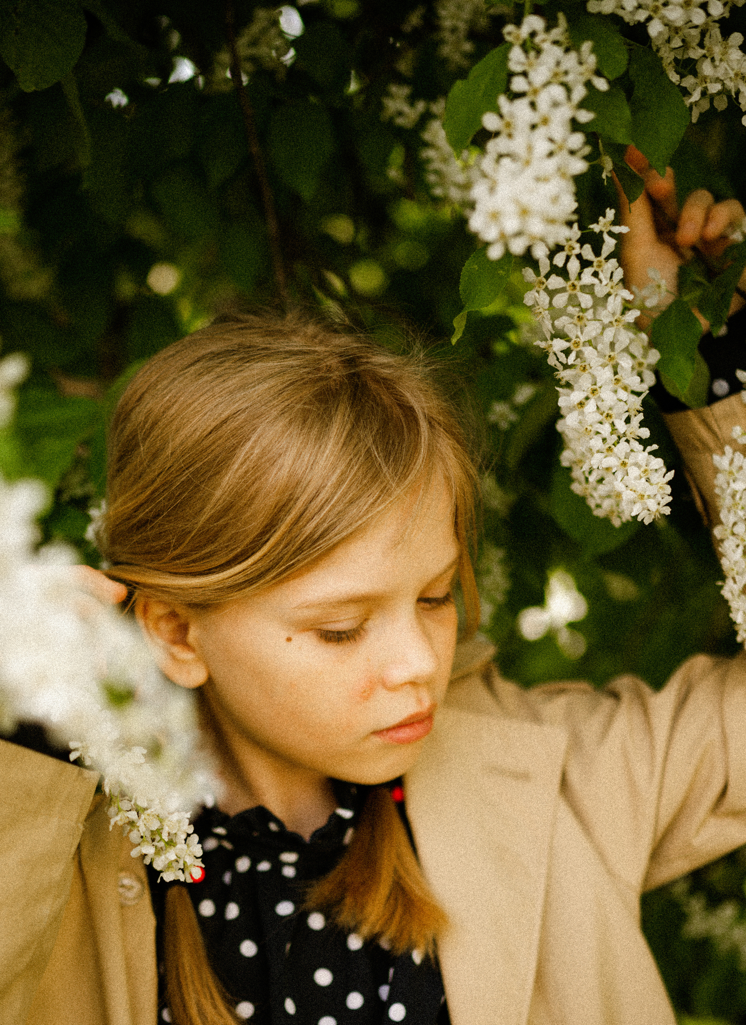 Polaroid preset's. Семейный Фотограф Новосибирск, Школьные фотосессии Новосибирск, школьный фотограф Новосибирск, выпускные альбомы