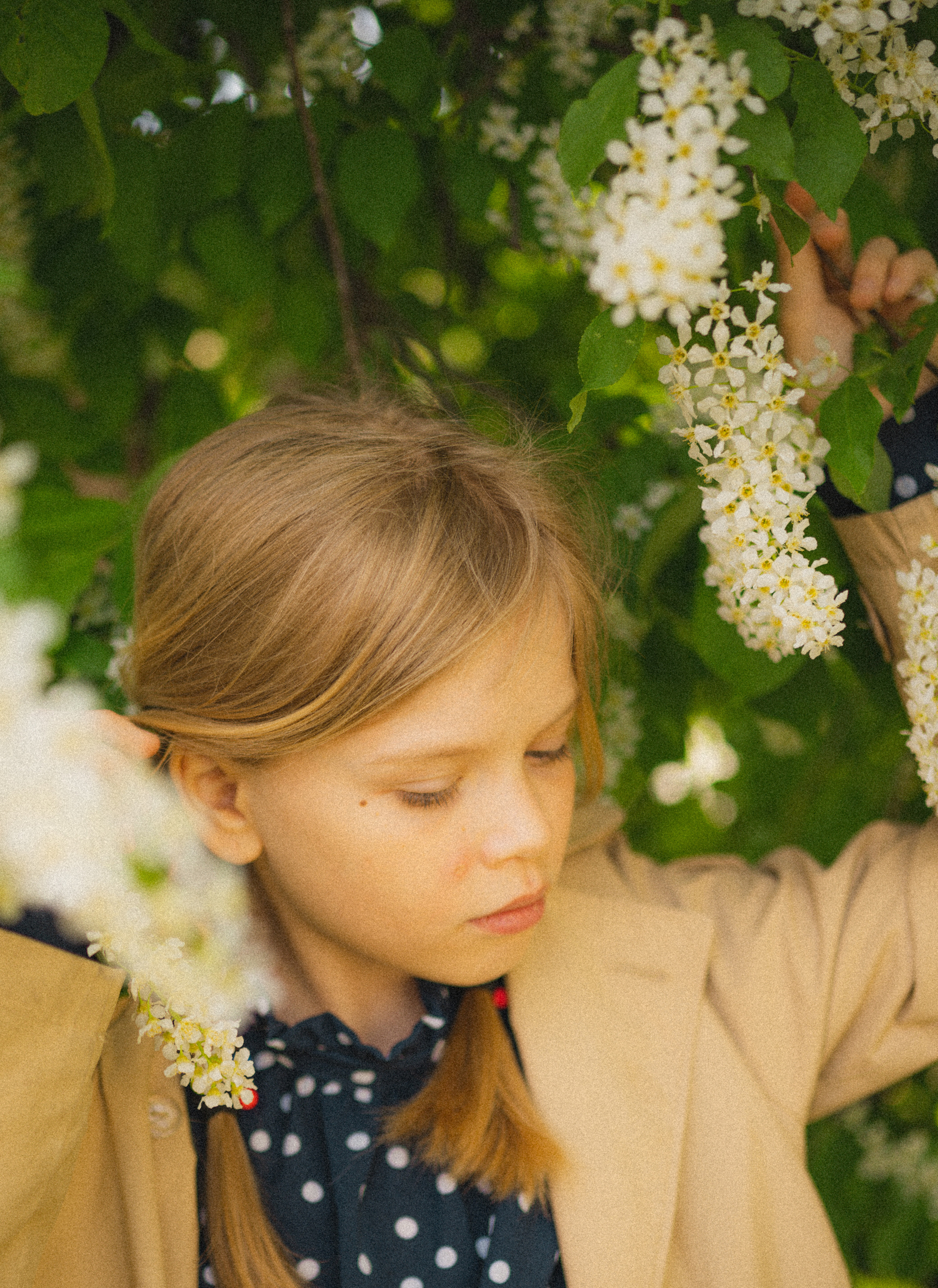 Polaroid preset's. Семейный Фотограф Новосибирск, Школьные фотосессии Новосибирск, школьный фотограф Новосибирск, выпускные альбомы
