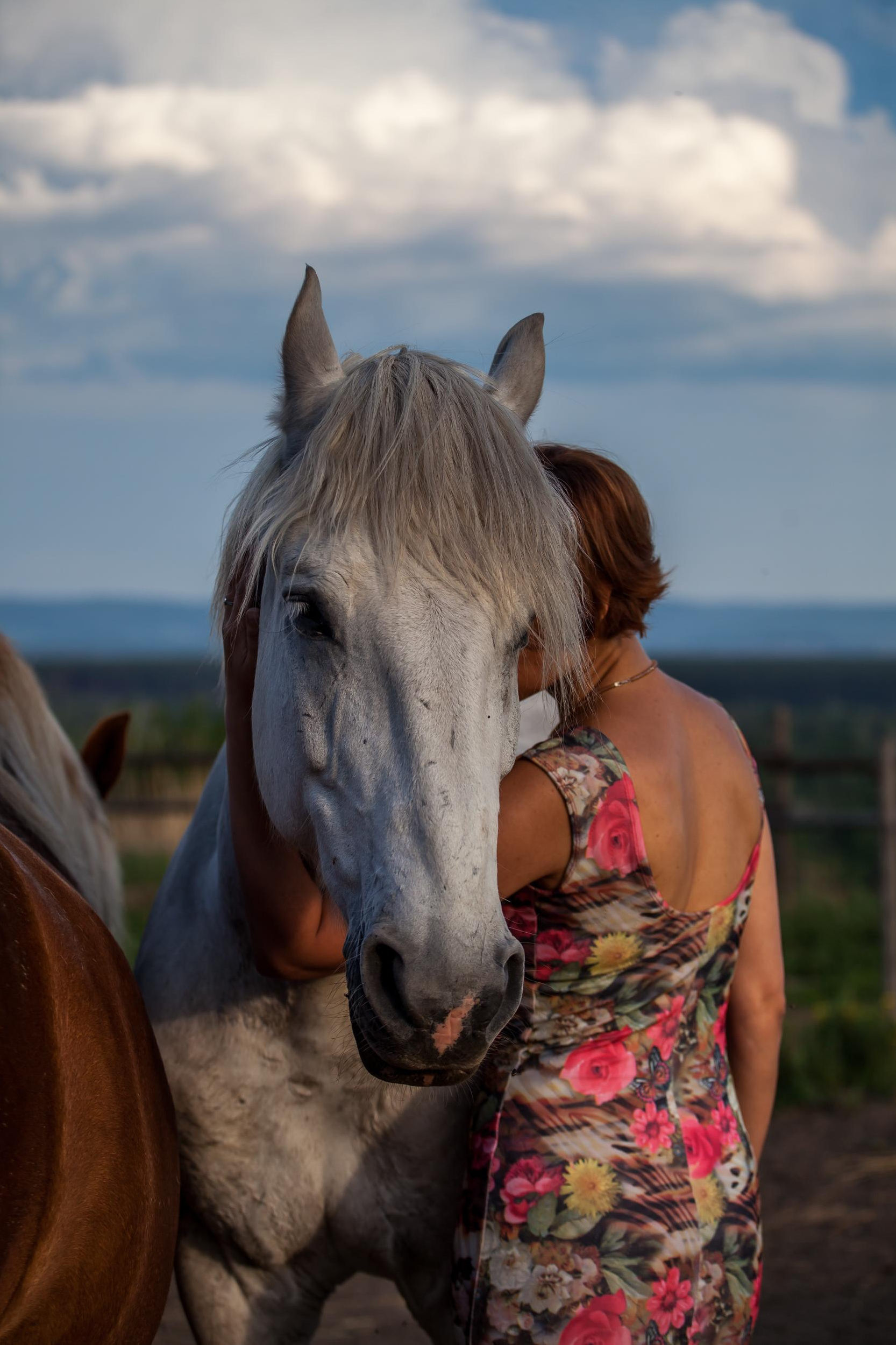 Свободная ипповенция. «Свет внутри»