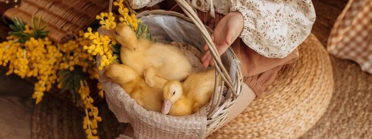 Пасхальные фотопроекты. Фотостудия Roomy в Краснодаре | Семейные и детские съёмки дней рождения от 1 до 5 лет, аренда зала фотостудии