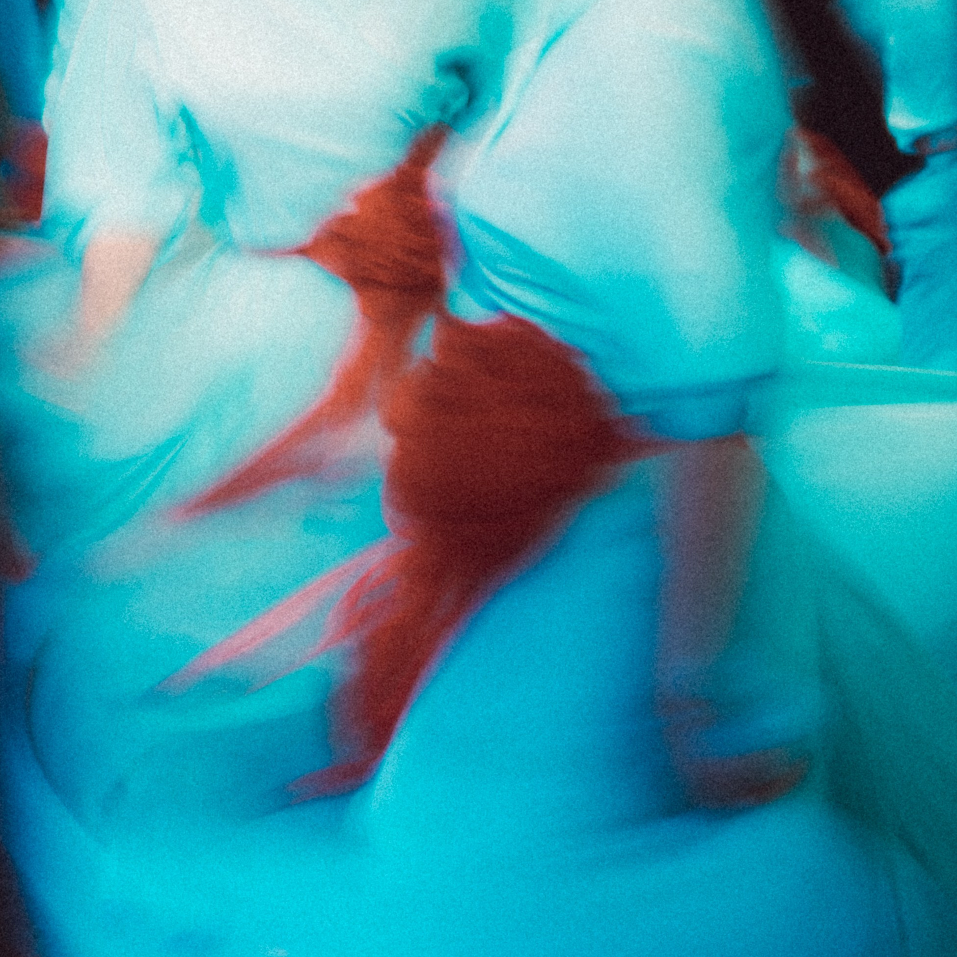 «Сила в движении». Фотовыставки serebro.gallery, в которых автором можешь стать ты! | Москва