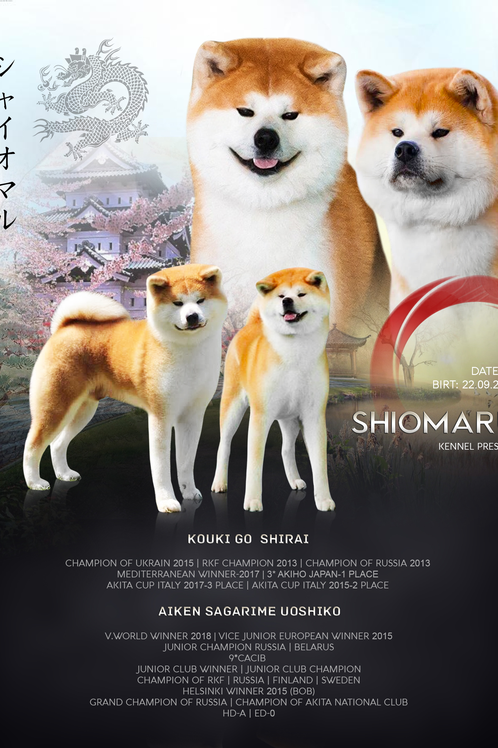 LITTERS. SHIOMARU Shiba and Akita Inu Kennel