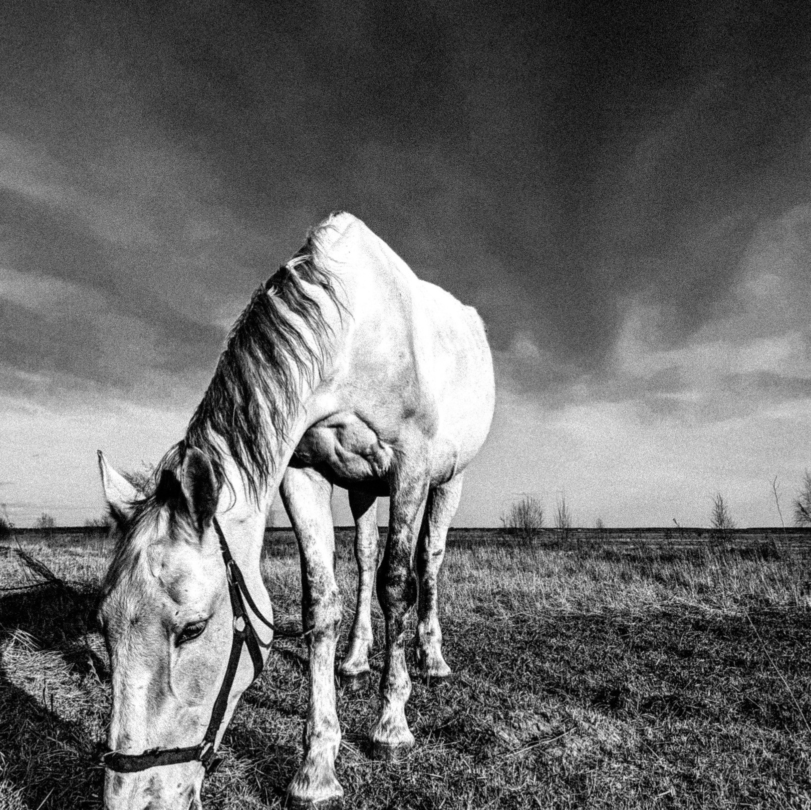«Автопортрет» и «Стрит». Фотовыставки serebro.gallery, в которых автором можешь стать ты! | Москва