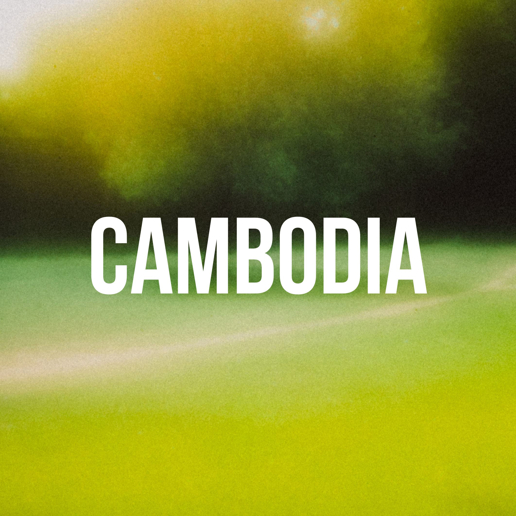 LANDS. Eduard Kopysov — International visual artist