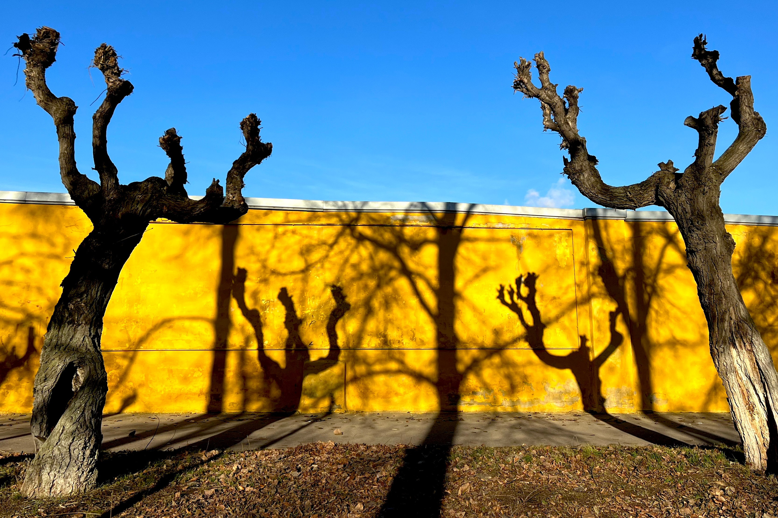 Галерея фотографий для интерьера. Iliya Soldatkin Fine Art Photography