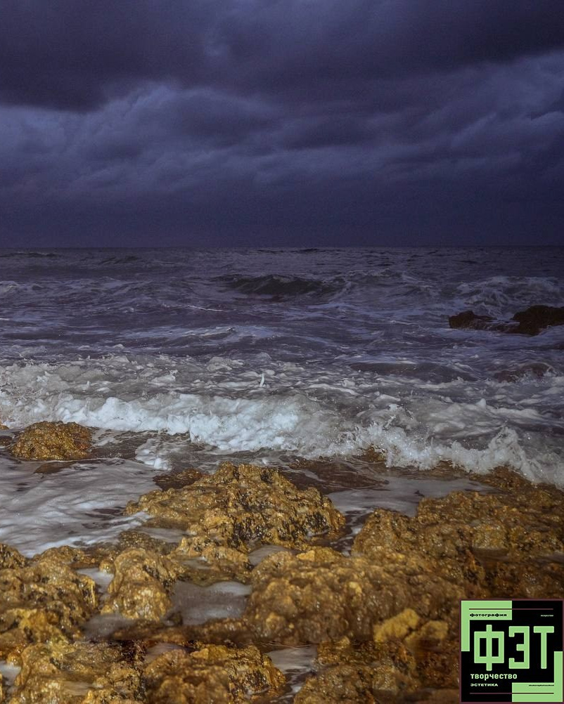 Альбом 18.01.26 проект ФЭТ