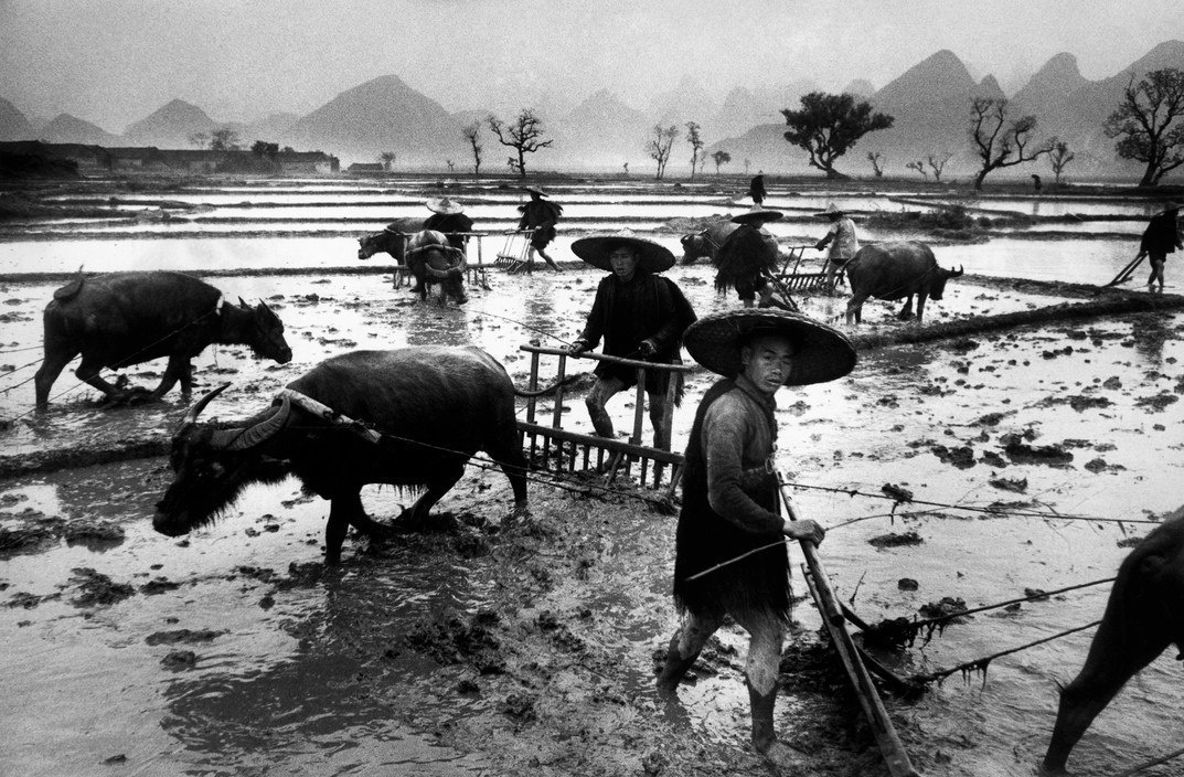 Выпускные альбомы в Ростове-на-Дону, красиво и быстро. Выпускные альбомы, фотограф Денис Зимин в городе Ростове-на-Дону