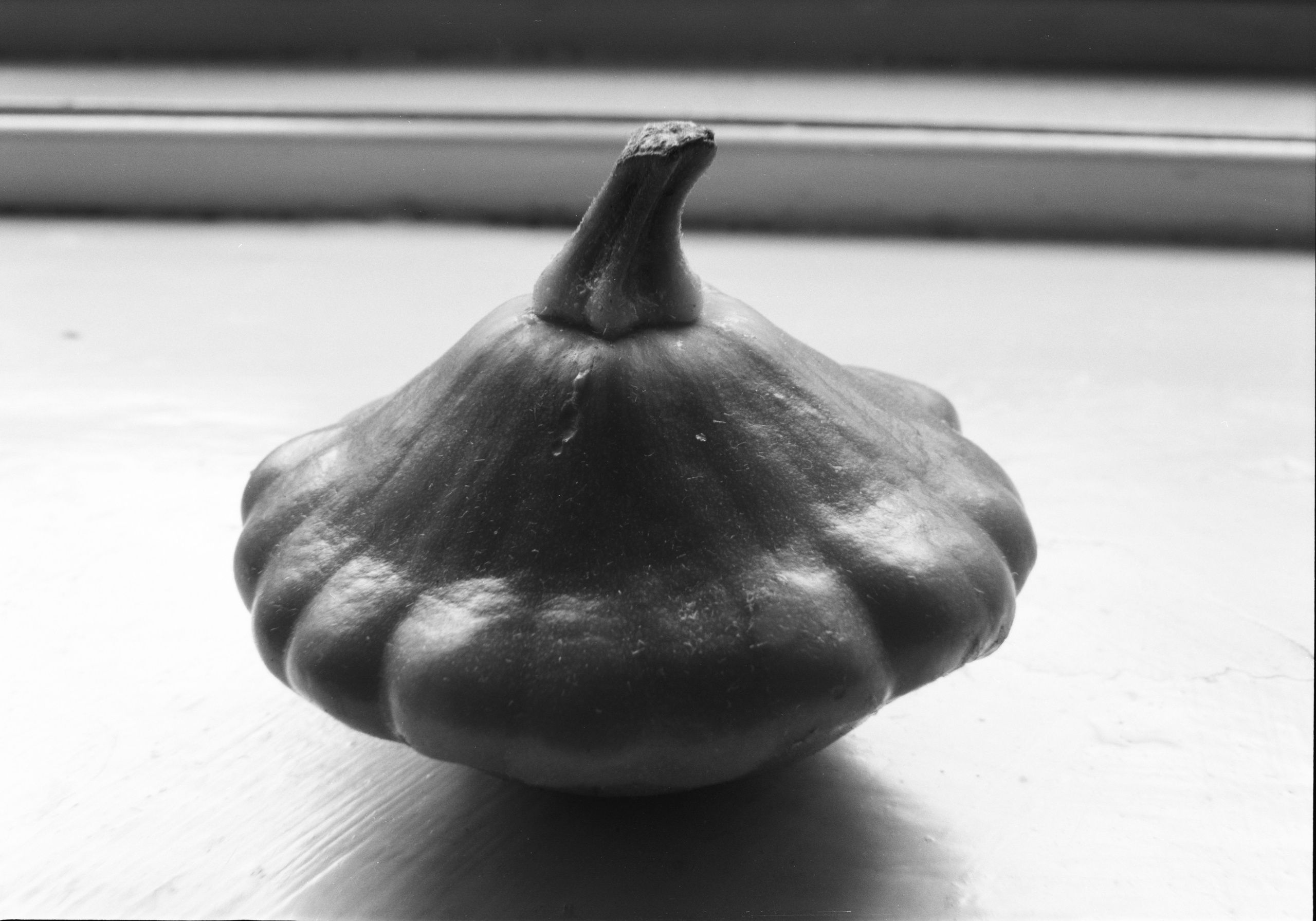 PRINTS. Daria Blinova