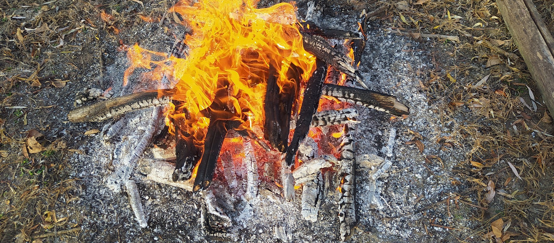 Йога-терапия. Путь к исцелению. Марина Рыбкина — Глубинная психология