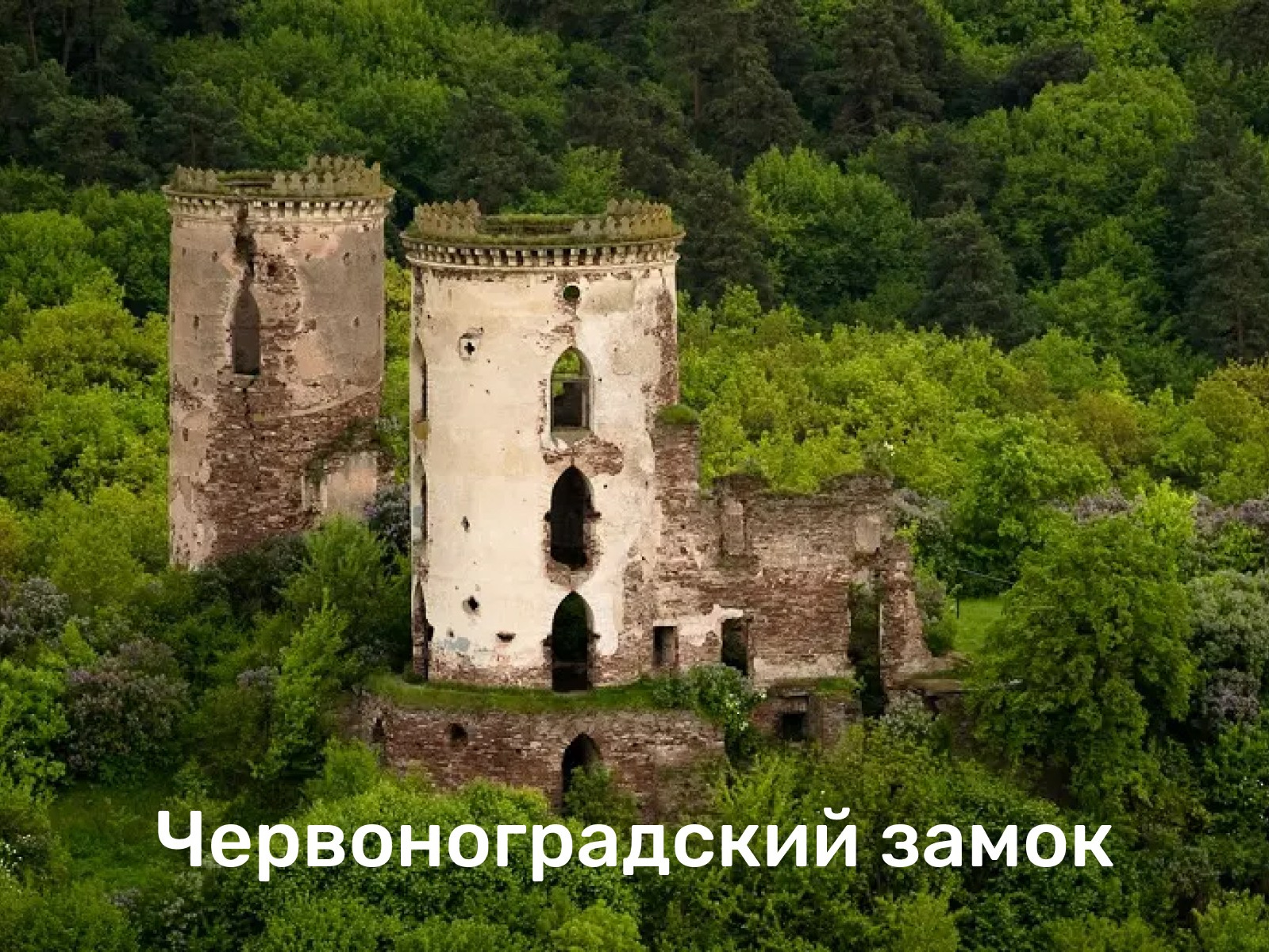 Разработка коммуникационной платформы для Jagermeister. Маркетолог в Москве, специалист по коммуникациям и рекламе Аня Смоляга