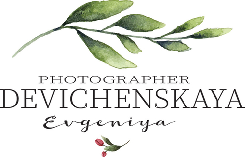 devichenskaya.wfolio.pro