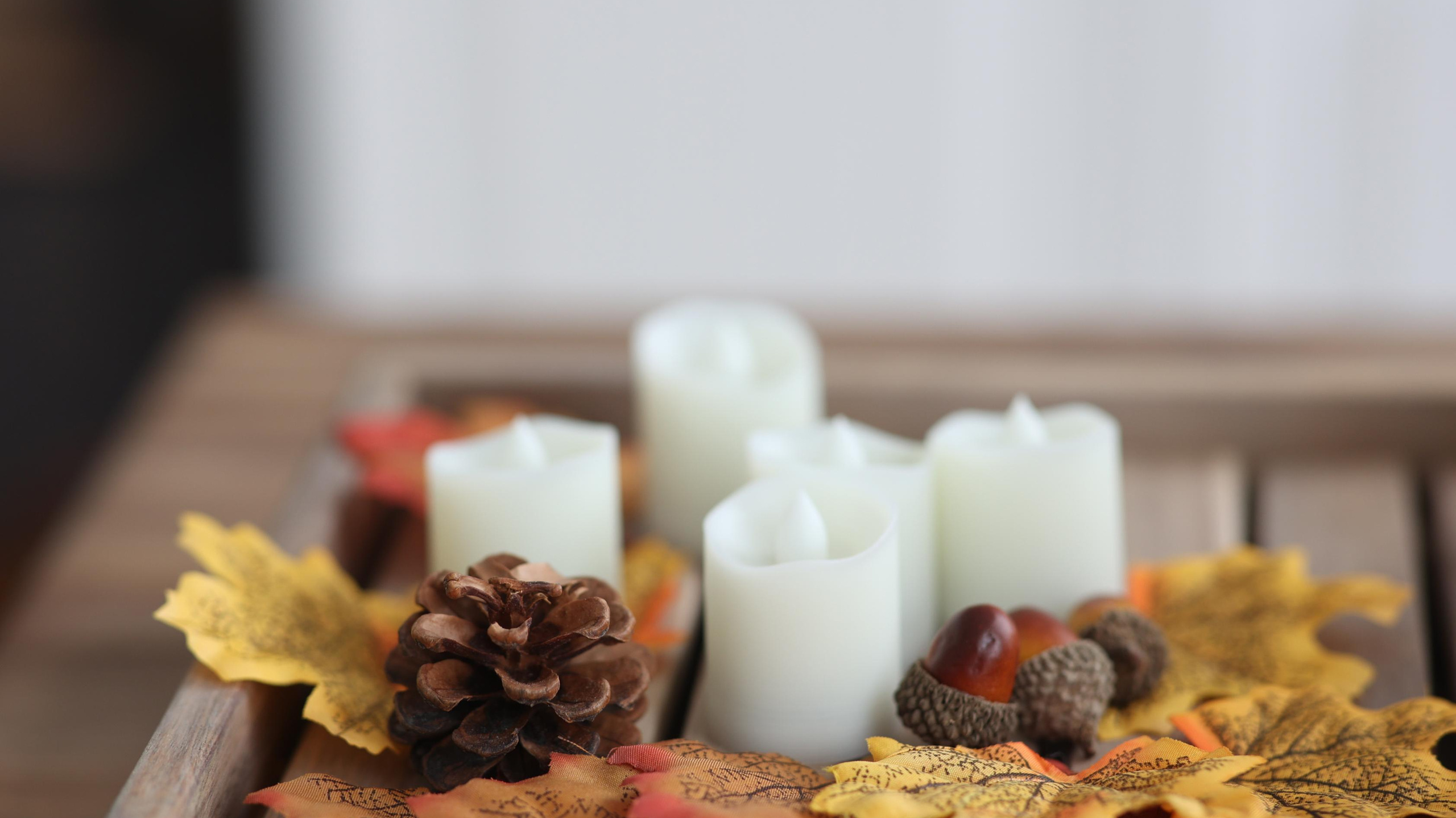 Правила. Фотостудия в Калуге Svetstudio