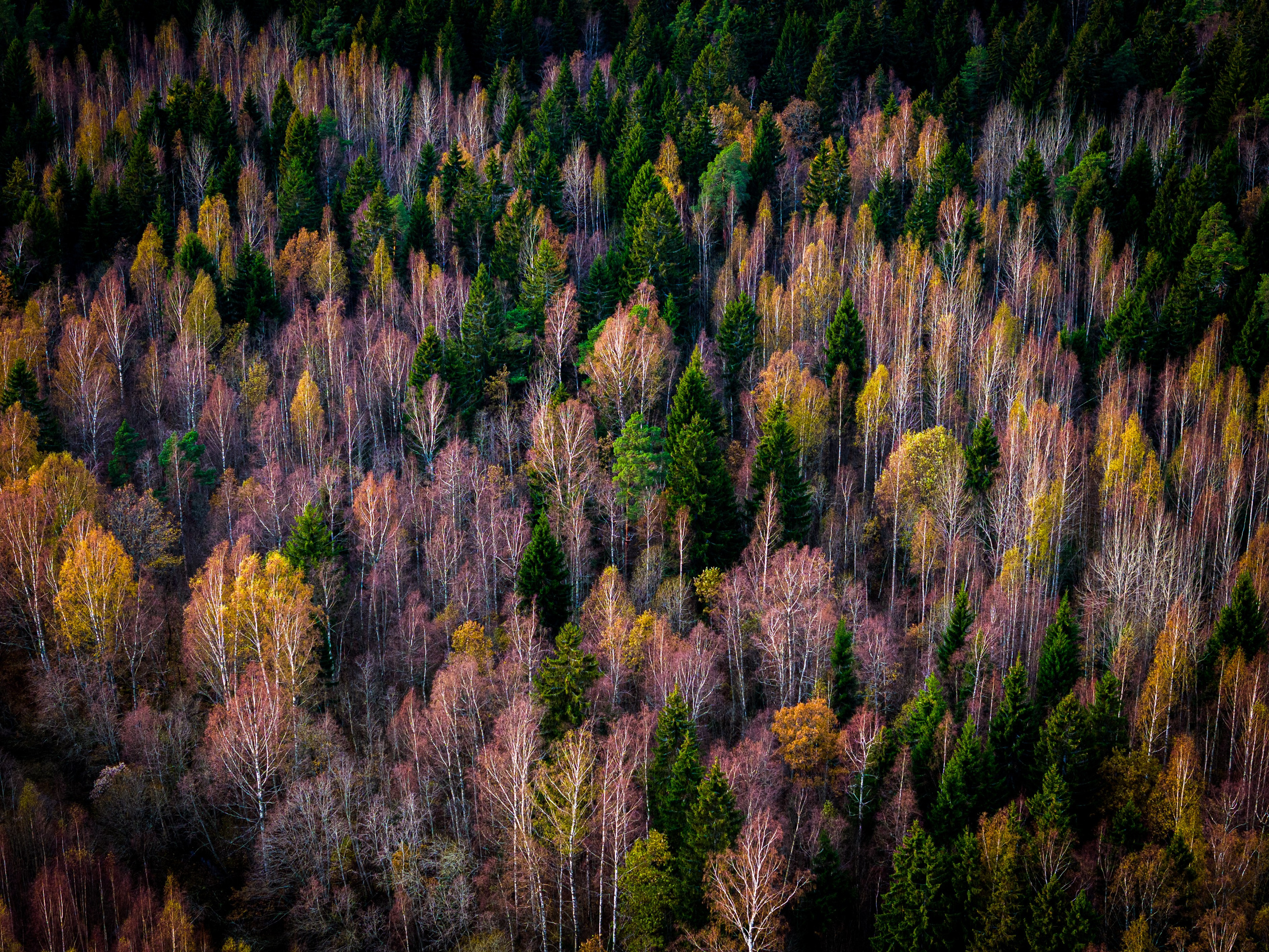 Аэросъемка. Студия визуального контента в Санкт-Петербурге и Москве