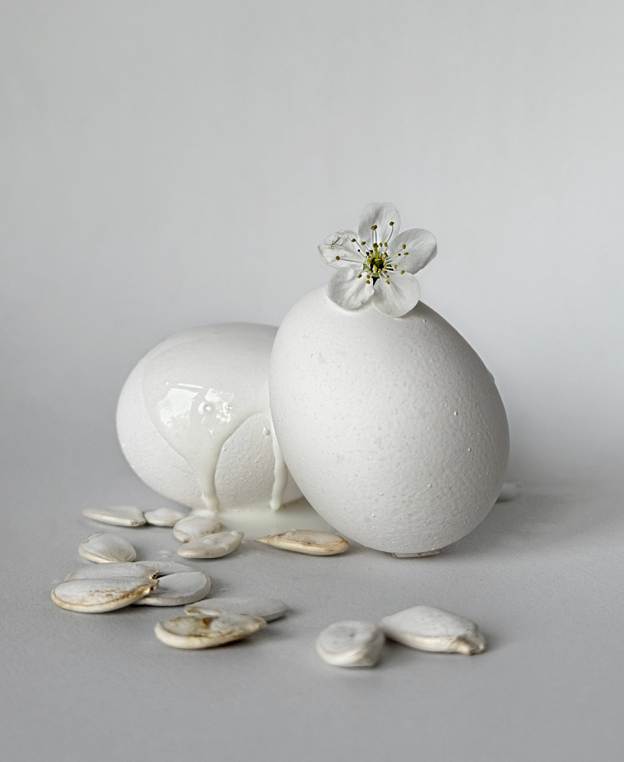 Магазин авторских коллекционных фотографий. Елена Аносова — художница и исследовательница, куратор и лектор