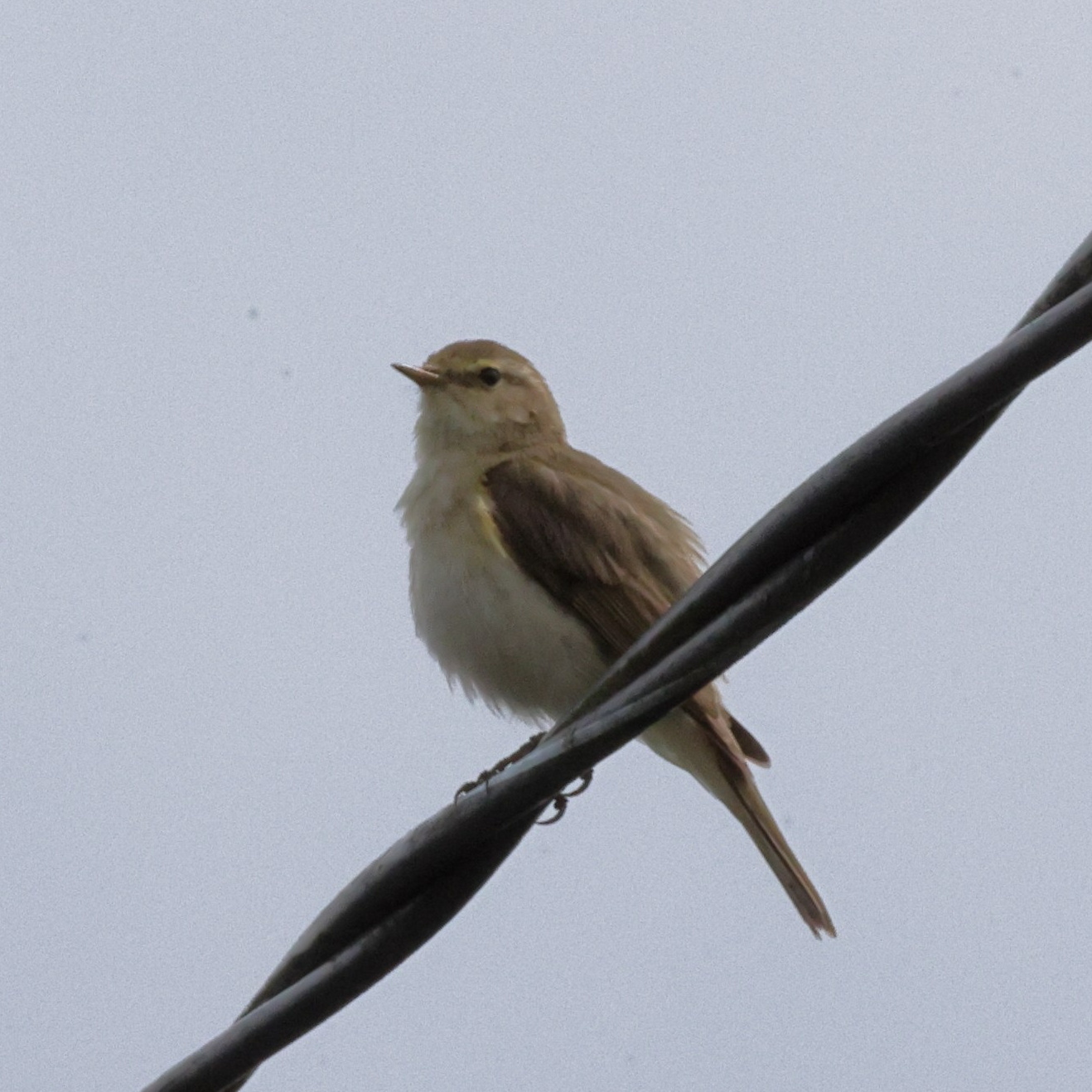 Выходные 7–8 июня