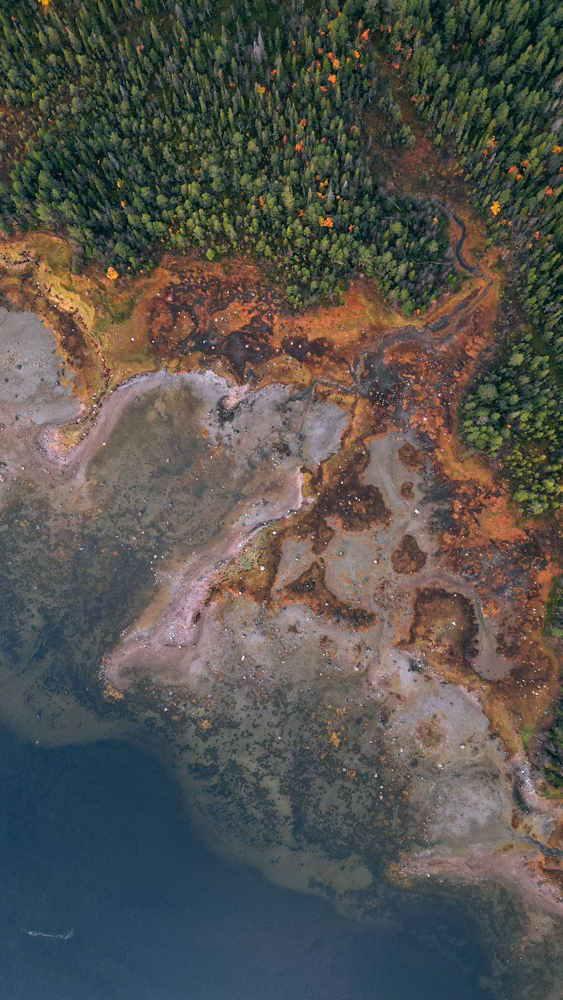 Человек с фотокамерой