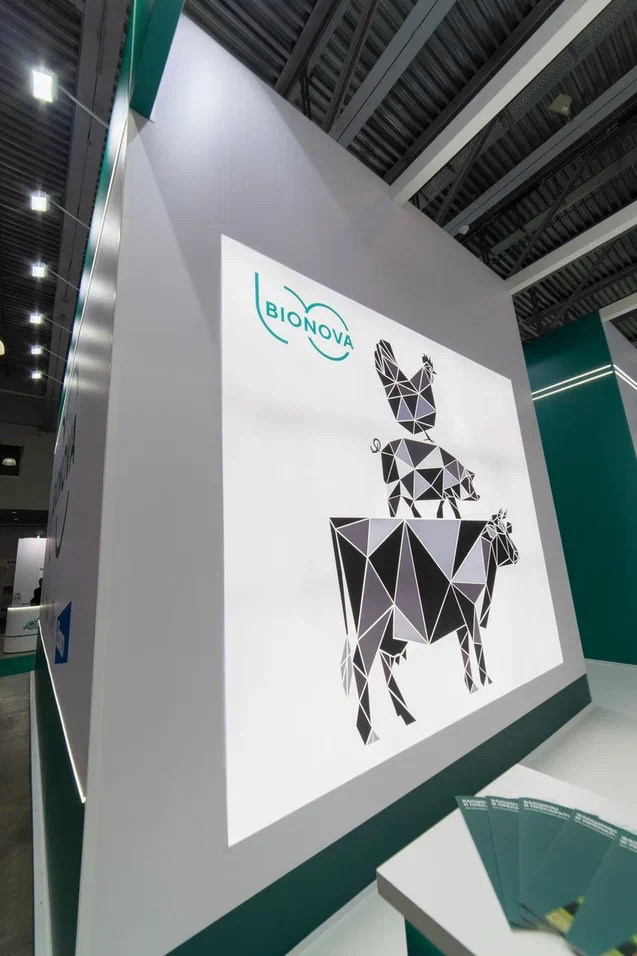 Выставочные стенды. Профессиональный портретный фотограф в Москве Владимир Глаголев