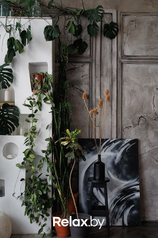 Интерьеры. Репортажный фотограф Александр Задорин, Минск, Беларусь