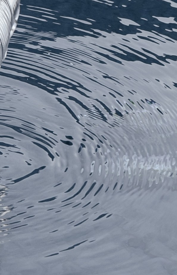 Гафур и Елена. Свадебный фотограф в Астрахани Саида Ивко