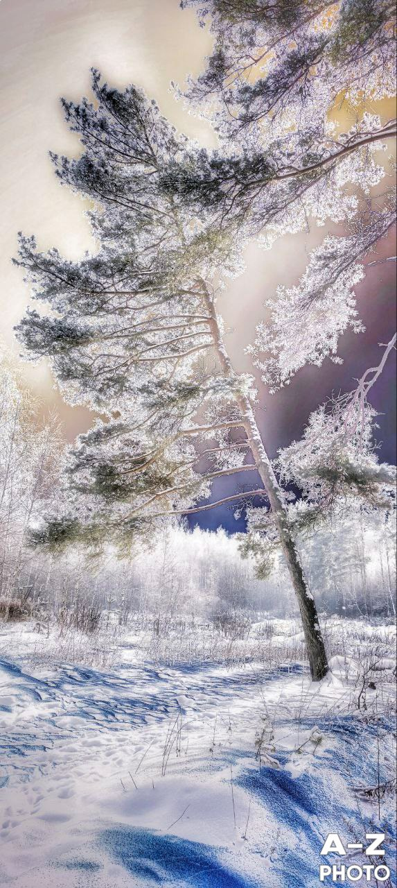 #ФОТОНЕДЕЛИ 19.01.2026. Женский семейный фотограф Тула Москва Захарова Анна