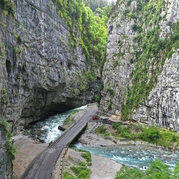 Абхазия. Мимоза. Ольга Котова