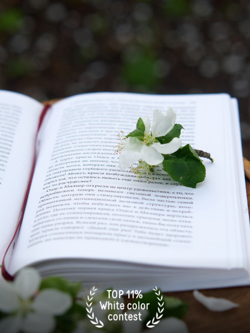 Дипломы и награды. Фотограф в Ульяновске Ирина Аверьянова