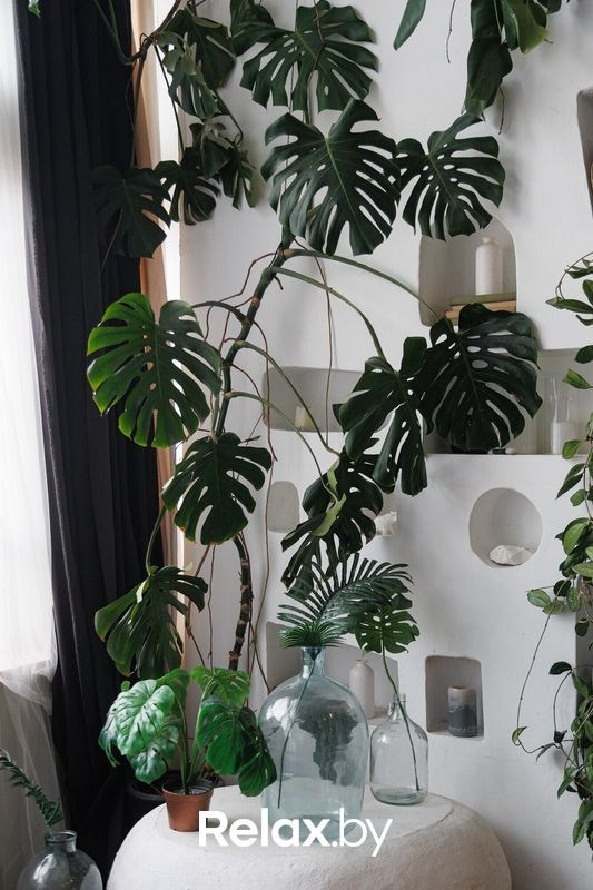 Интерьеры. Репортажный фотограф Александр Задорин, Минск, Беларусь