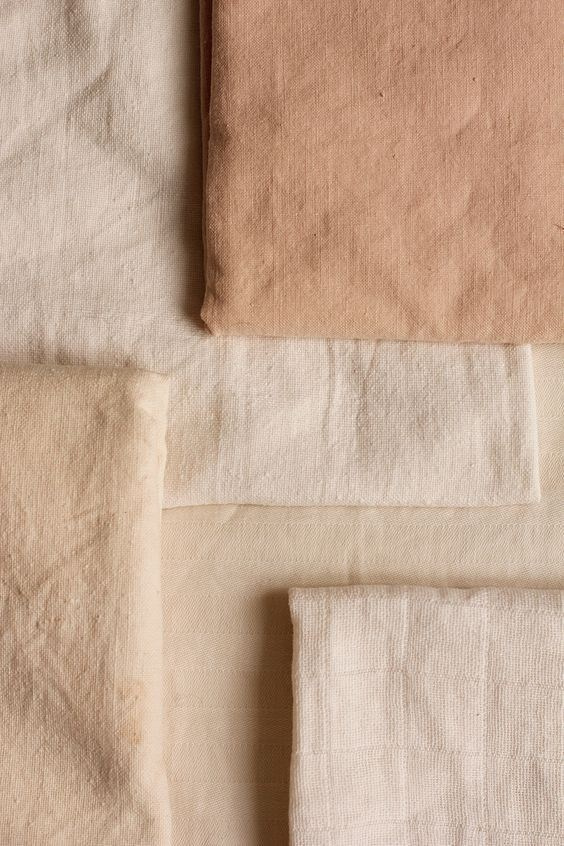 Соколёна. Фотограф Надежда Миронова Вологда